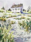 watercolor by Marie Natale